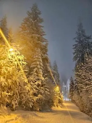 Apartment 151 U U Aparthotelu Vucko - Private Host Jahorina