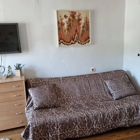 151 U U Aparthotelu Vucko - Private Host * ヤホリナ